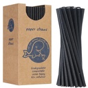 BIO ökoloogilised paberist kõrred PAPERIST kõrred paks 8/205mm - must 160tk.