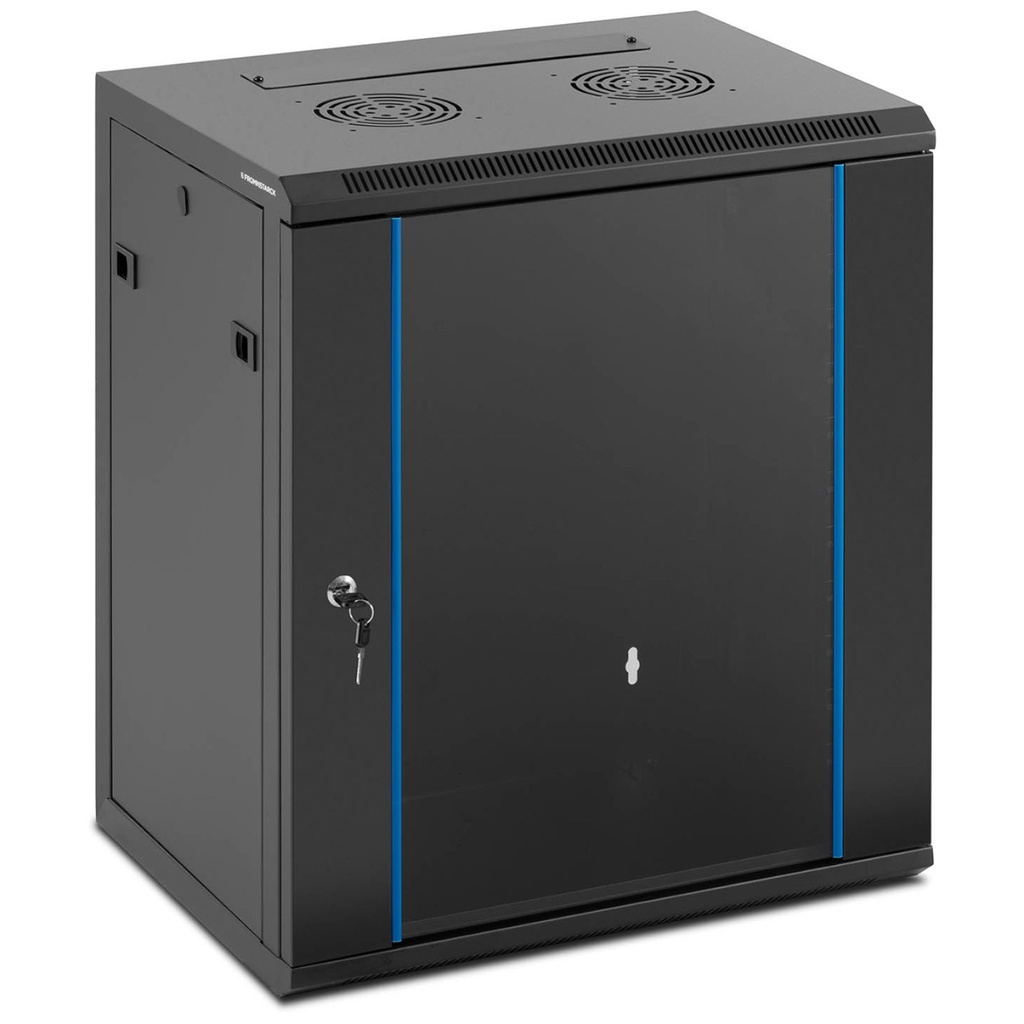 19'' 12U IP20 hanging network server rack up to 60 kg 54x39x62 cm BLACK
