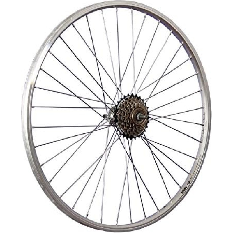 Taylor-Wheels 26-tolline tagumine ratas YAK19 / 6-käiguline spiraalrõngas - hõbedane