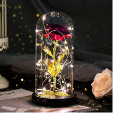 Gifts for Women Beauty and the Beast Rose Birthday Gift for Women Eternal Rose in Glass Gifts for Mum Girls Grandma Wife Gift Girlfriend Birthday Anniversary Christmas Valentine's Day