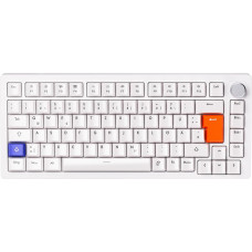 DrunkDeer A75 Rapid Trigger mehaaniline mänguklaviatuur magnetiline lüliti 75% TKL RGB 82Keys USB Wired ISO DELayout, valge