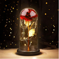 Joyhoop Red Eternal Rose, Beautiful Rose and the Beast, Glass Rose with Pink LED Lights, Gift Ideas for Women, Birthday, Mother's Day, Anniversary, Gifts for Her