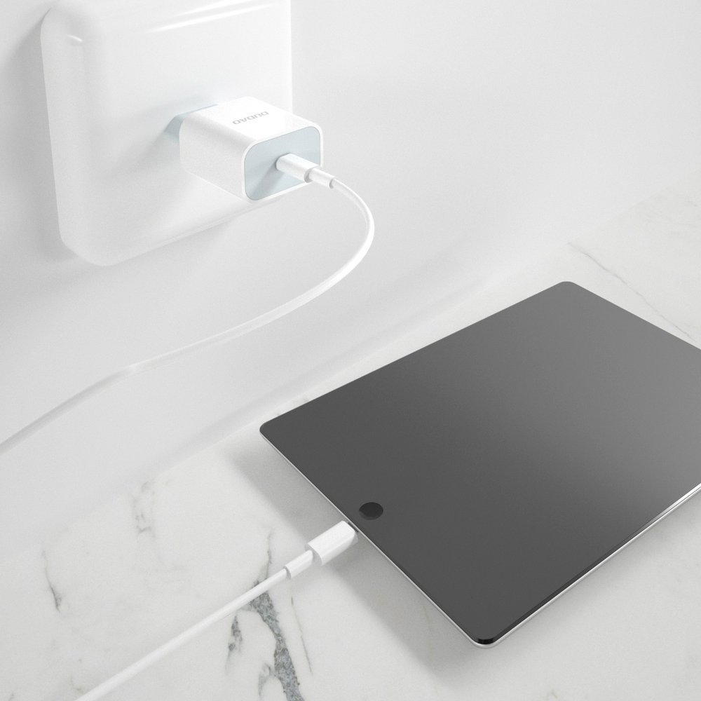 1020391-8-szybka-ladowarka-sieciowa-eu-usb-c-pd-dudao-hurtownia-sklep.jpg
