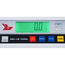 3049-3.jpg
