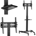 TV statiiv liikuva riiuliga reguleeritav max. 55'' 35 kg kõrgus 116-151 cm